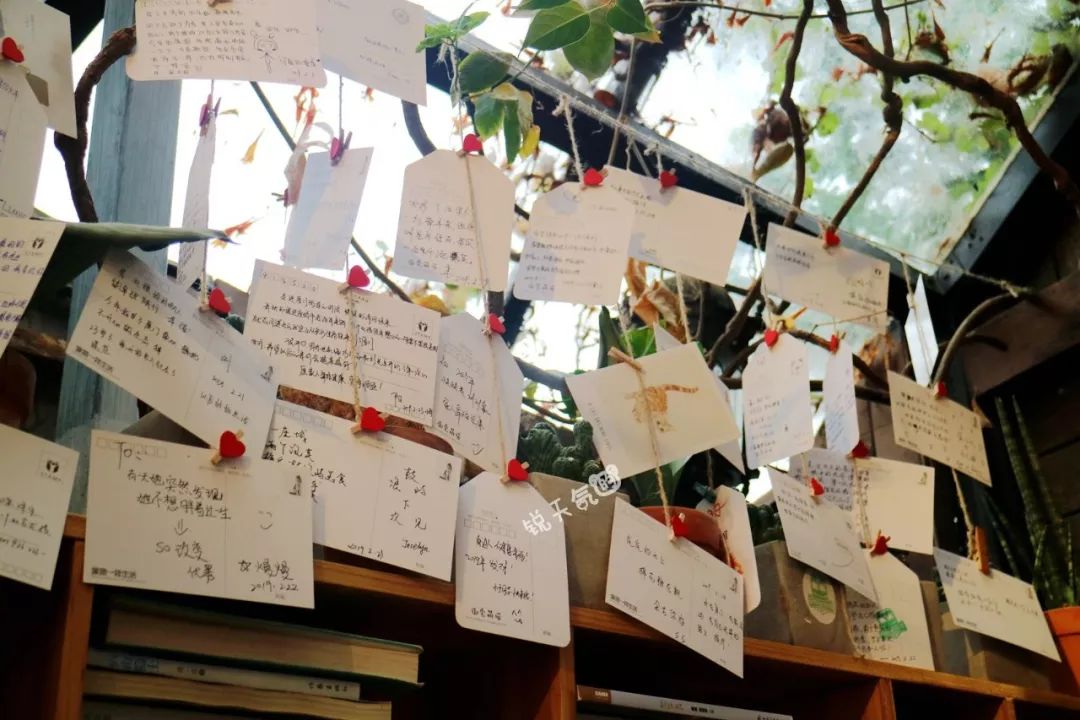 不一样的厦门,不一样的厦门环岛路