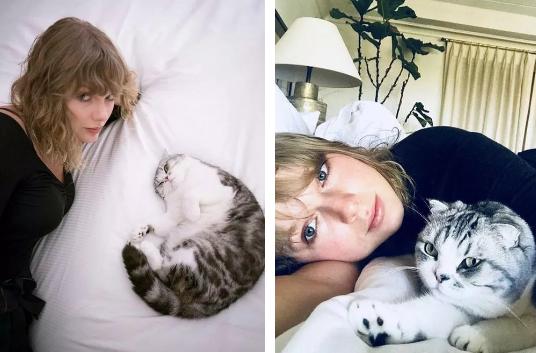 「JALOUSE」有一说一,我确实馋他们的身子