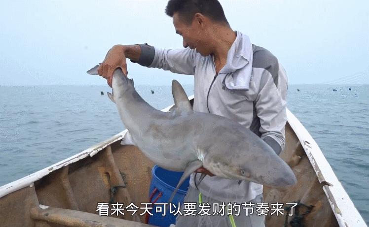 摸鱼也能赚钱?这几个会赶海的男人让全中国都羡慕了