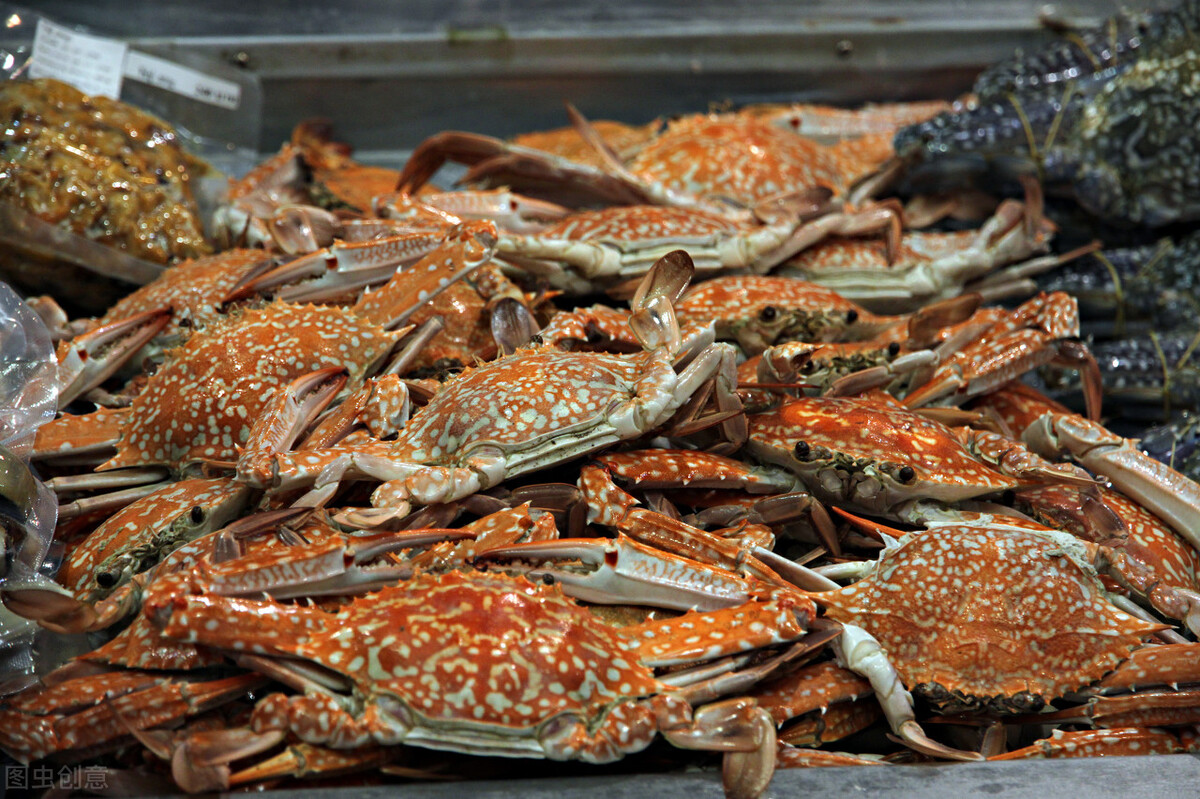 液氮速冻螃蟹新鲜吗,冷冻螃蟹的正确处理方法