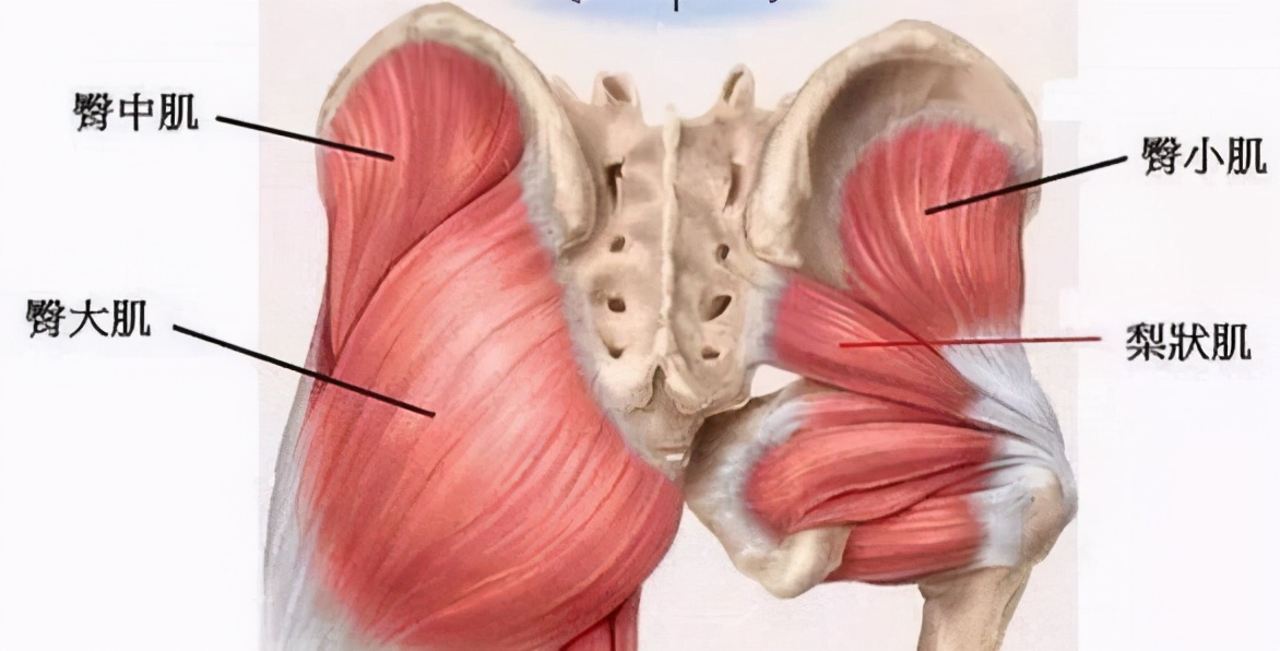 美臀臀部训练,臀部塑形运动打造完美曲线