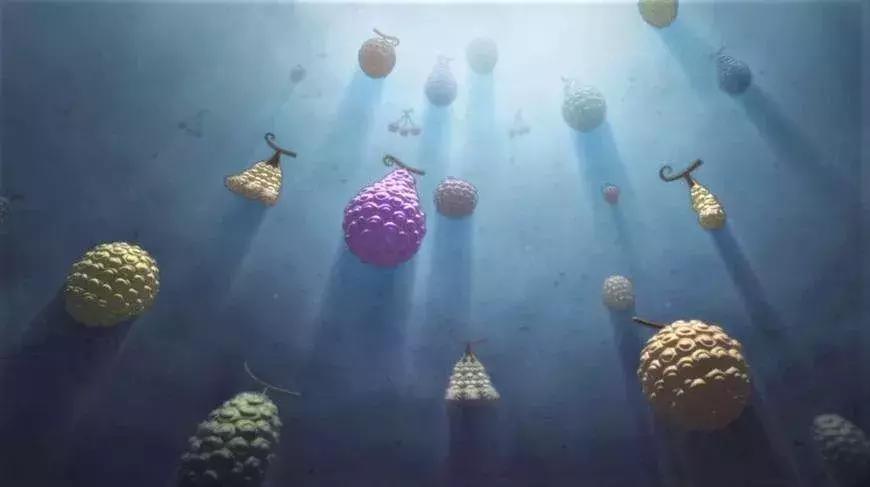 海贼王明哥和卡塔库栗哪个厉害,海贼王明哥三个厉害的手下