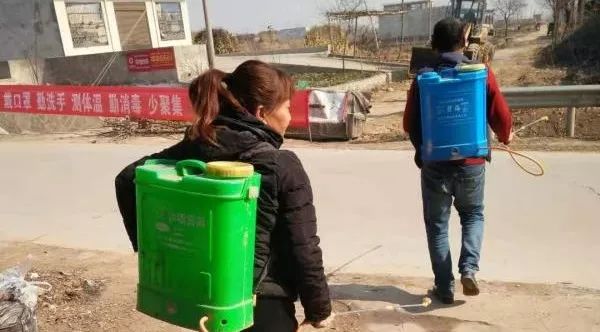 飘扬的旗帜——富平县齐村镇各基层*党**组织和*党**员干部抗击肺炎纪实