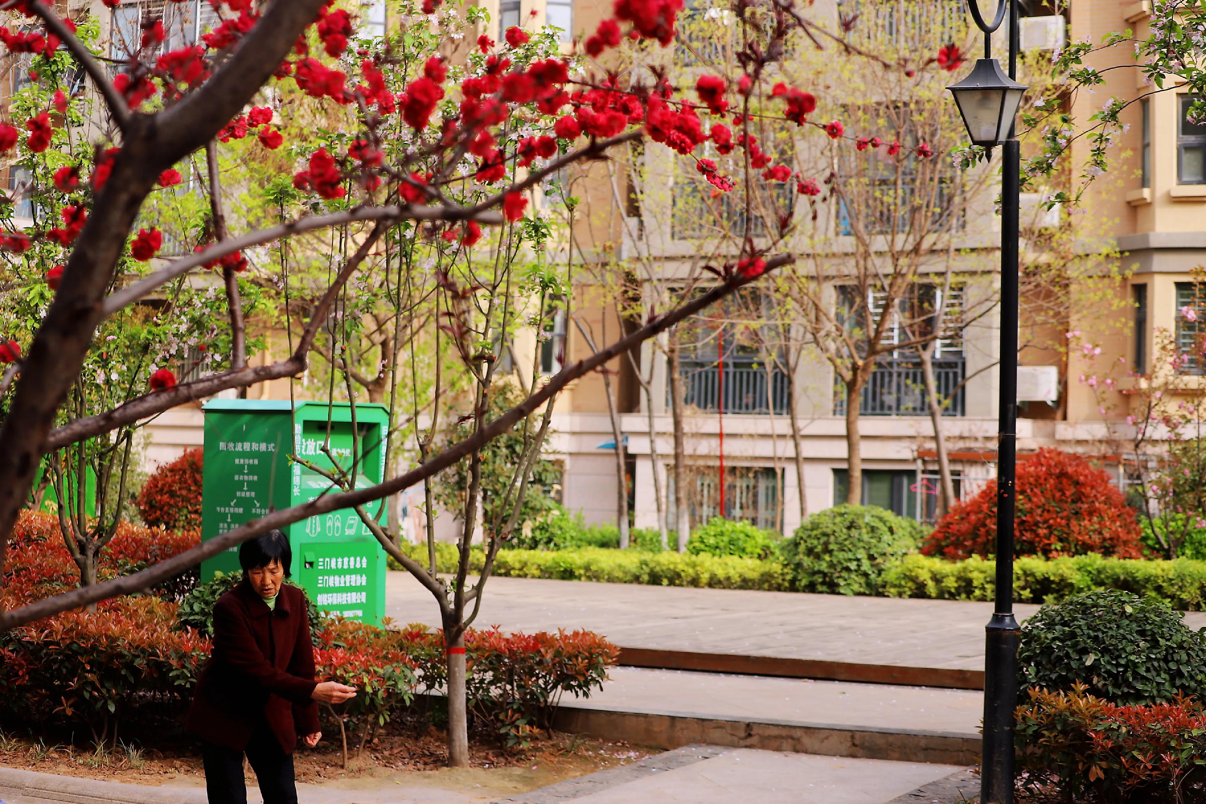 骏景花园116平米,骏景花园小区效果图