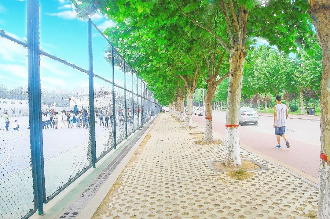 关爱孕妇睡眠,关爱孕妇政策