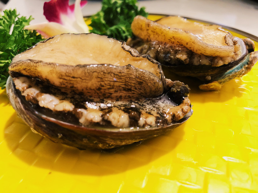 附近河豚鱼美食推荐,河豚鱼美食