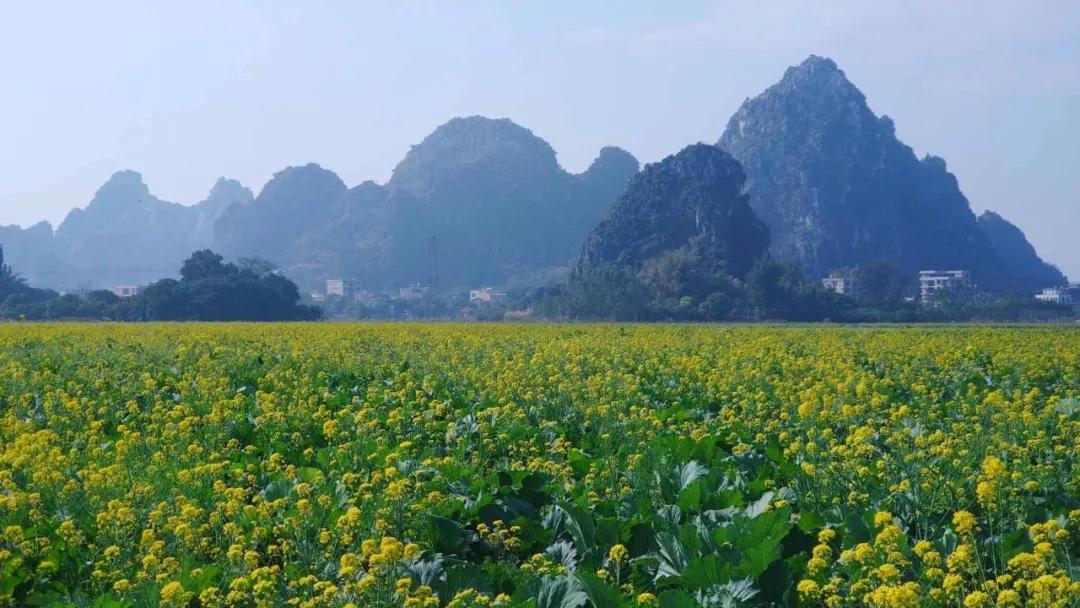 中农富玉大事记,中农富玉未来发展趋势