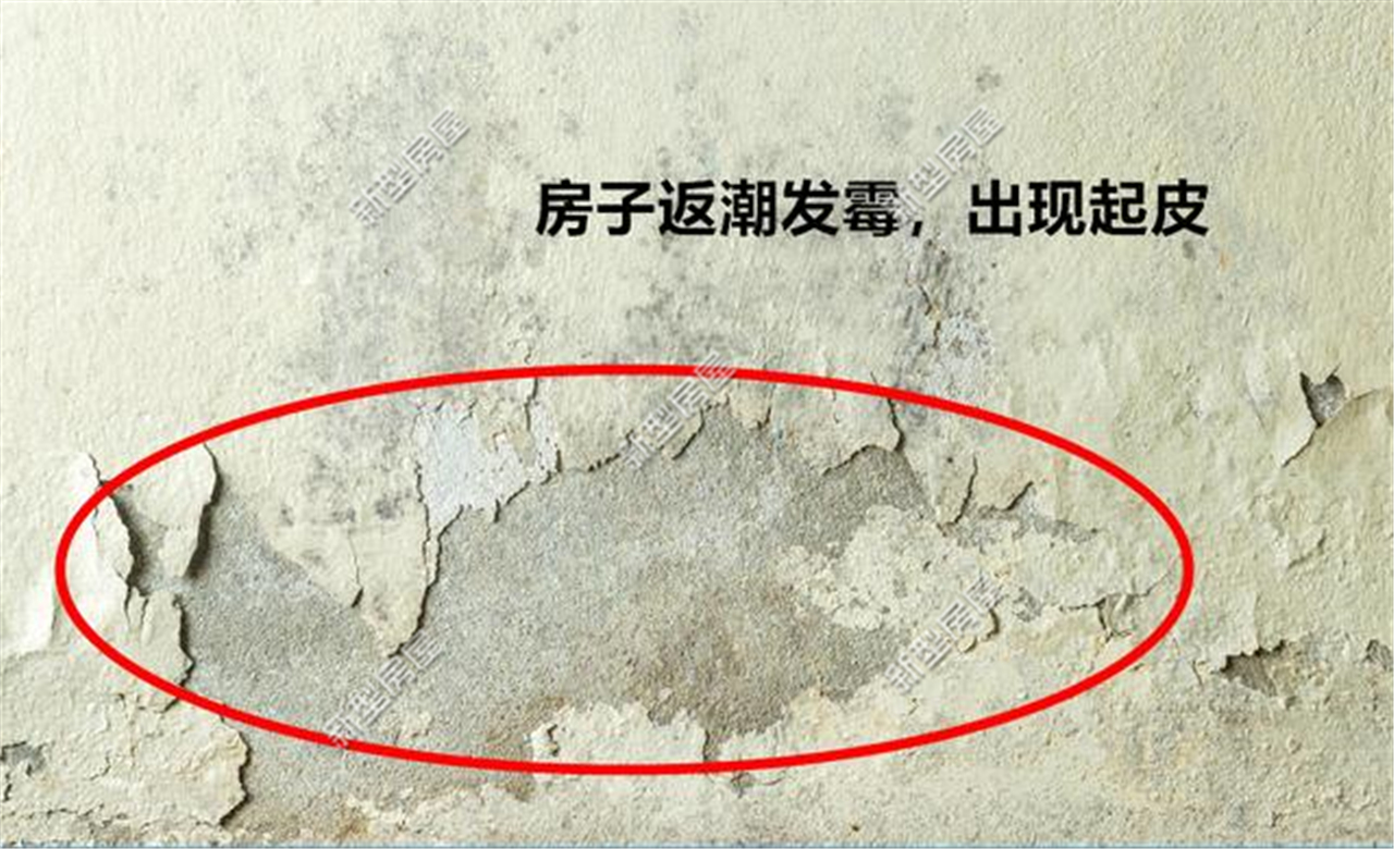 工地地下室防水补漏工程,包工头防水