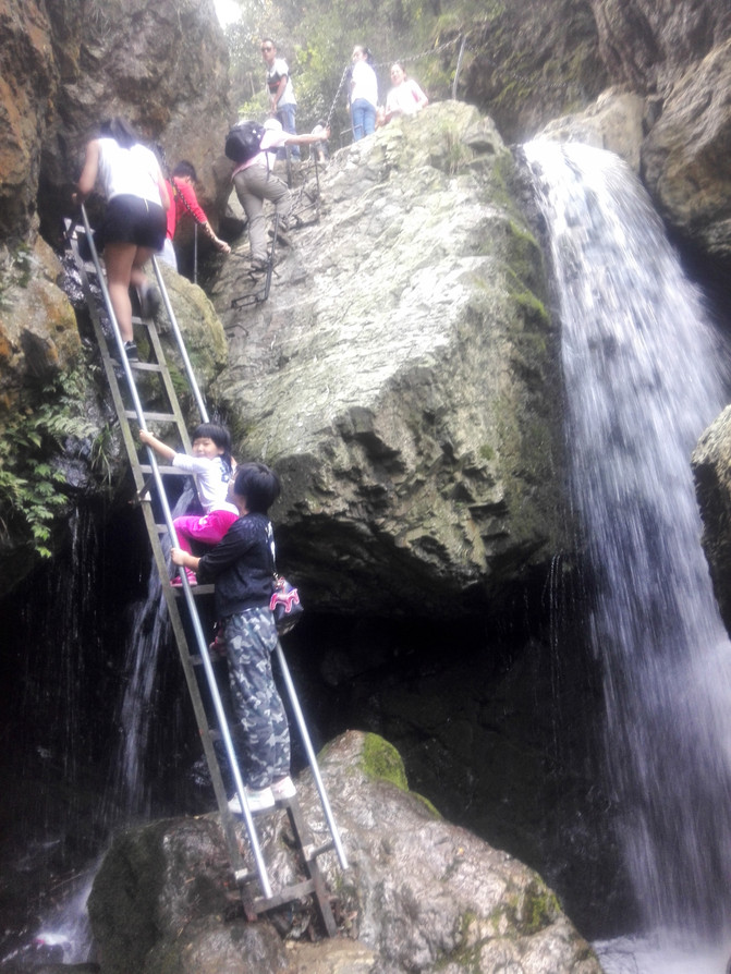 益阳市内有什么旅游景点好玩,湖南省益阳市旅游景点排名