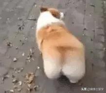 盘点那些经常被误会的英语俚语,求美式英语的俚语越多越好