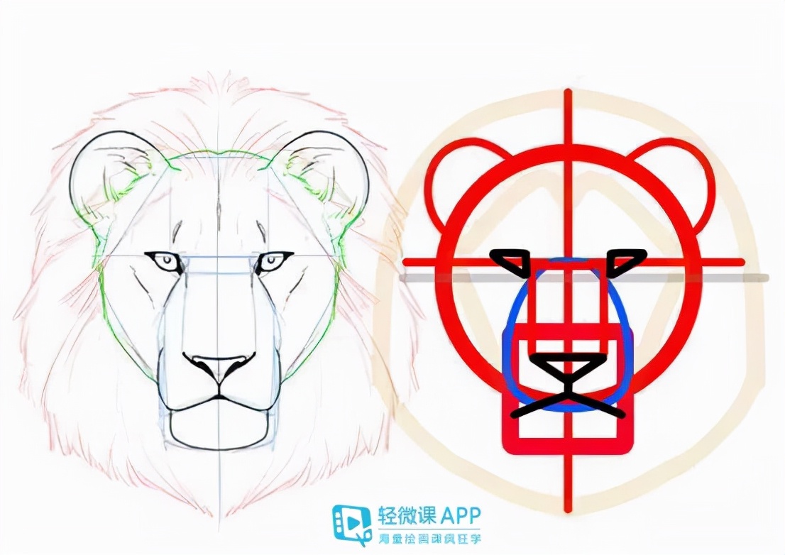 最最简单的动物画法,小动物怎样画出不同动作