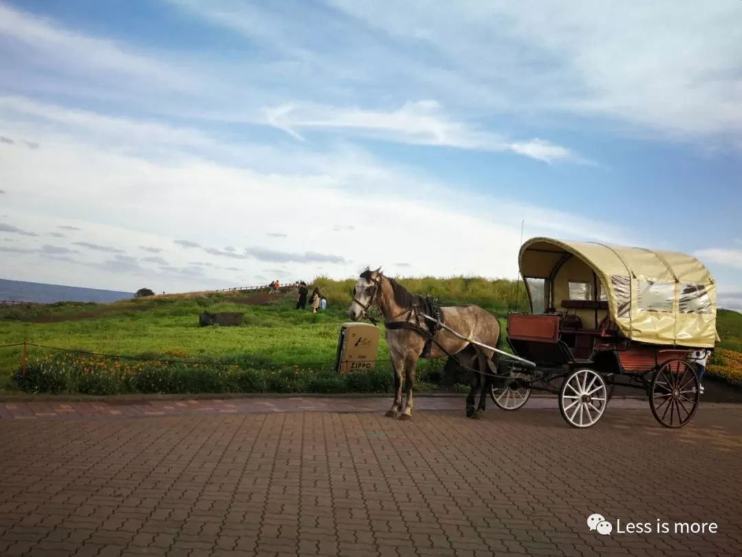 韩国济州岛超详细旅游规划攻略,韩国济州岛攻略自由行