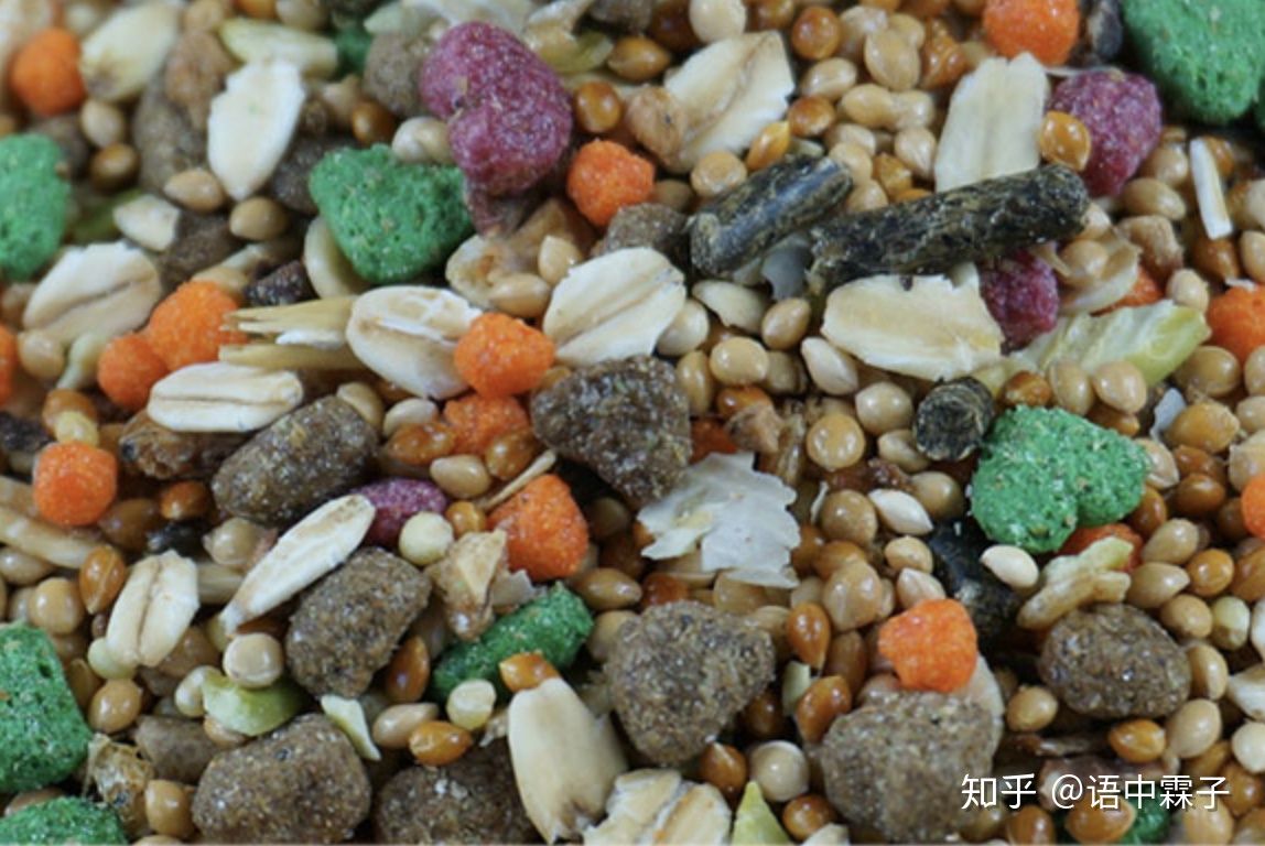 哪些品牌的仓鼠粮是渣粮,国产粮都是渣粮吗