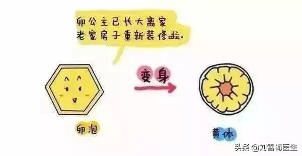 手把手教你看懂性激素六项检查单,怎样看懂性激素六项报告单孕酮