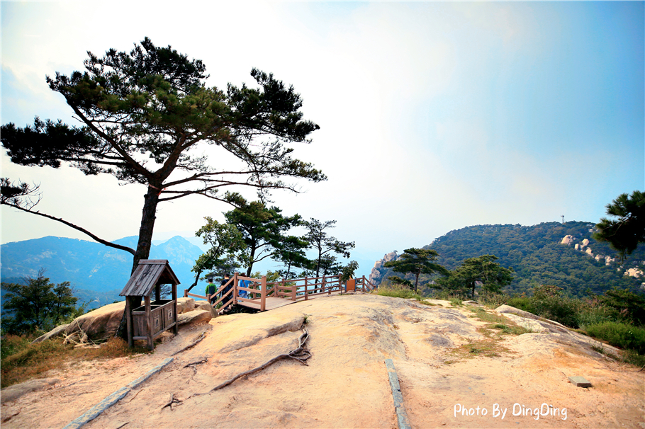 登五岳之首泰山,爬中国五大名山