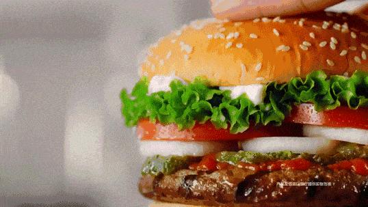 炸裂!因为一只猫,苏州人开启尖叫模式!