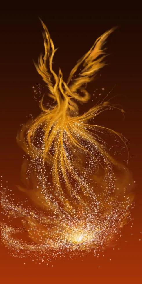 凤凰涅盘浴火重生英文怎么说,浴火重生凤凰涅槃