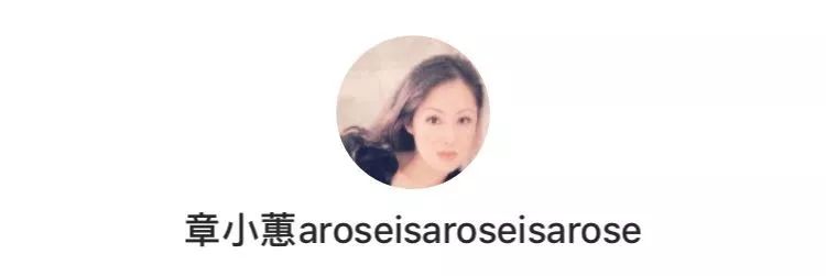 章小蕙为什么这么白,章小蕙为何能再次赢得眼球