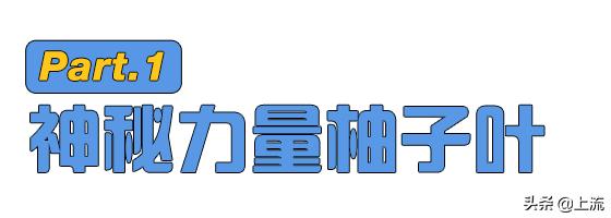柚子叶洗澡是哪里的传统,柚子叶洗澡真的能转运么