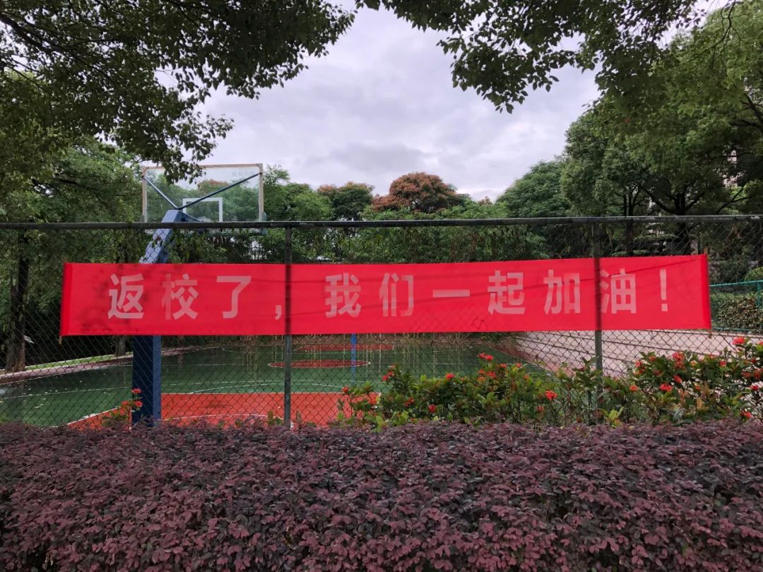 欢迎归来歌曲,欢迎归来的歌曲