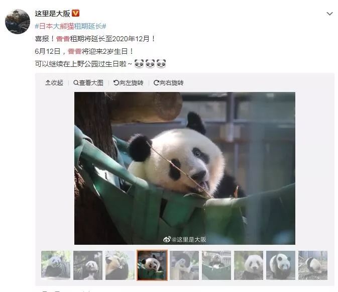 为什么全世界都喜欢大熊猫,世界各地的人们都喜爱大熊猫英语
