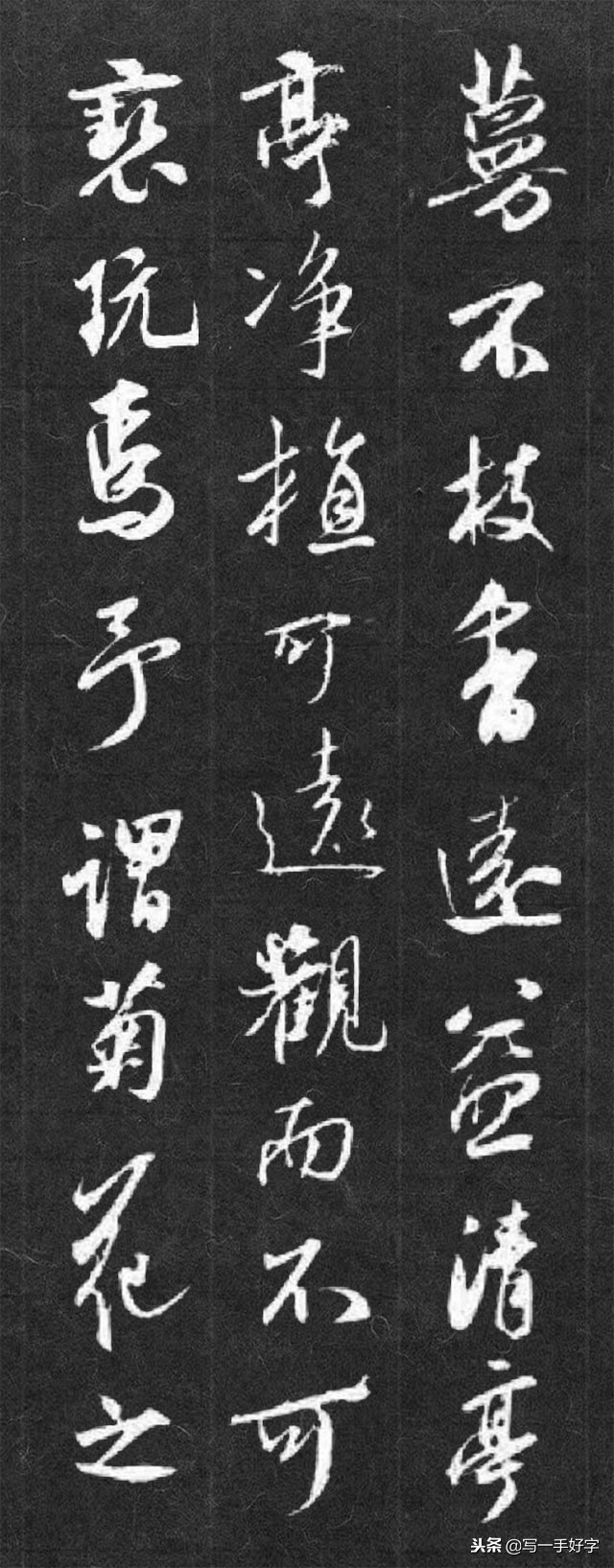 书法作品爱莲说创作说明,书法作品爱莲说展示模板