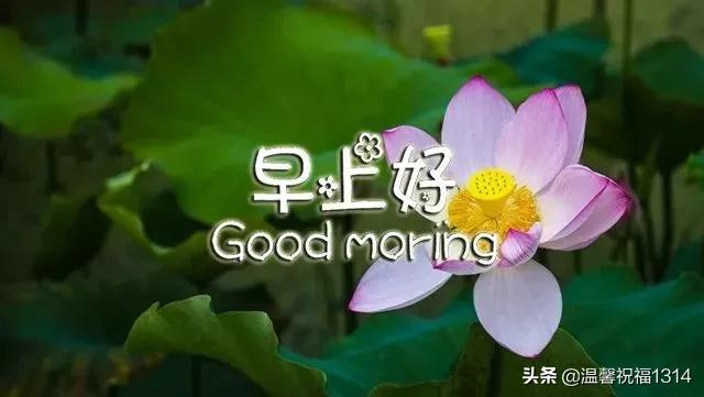 早安文案高级感幸福是自己争取的,励志语录人生这条路靠自己走