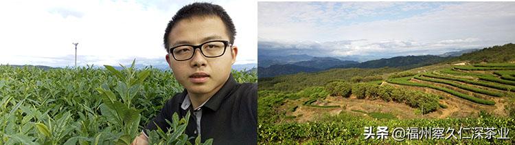 7.毛强生‖一杯会说话，有故事，人人喝得懂的茶（创业者自述）