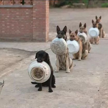 一年级孩子厌学症,广州哪里治疗厌学症