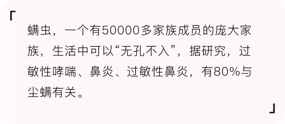 科学除螨,除螨用什么最好