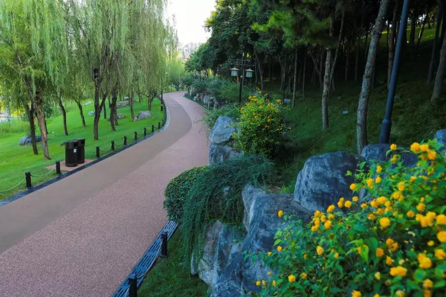 西安的春天到底有多美？我要打包送给你