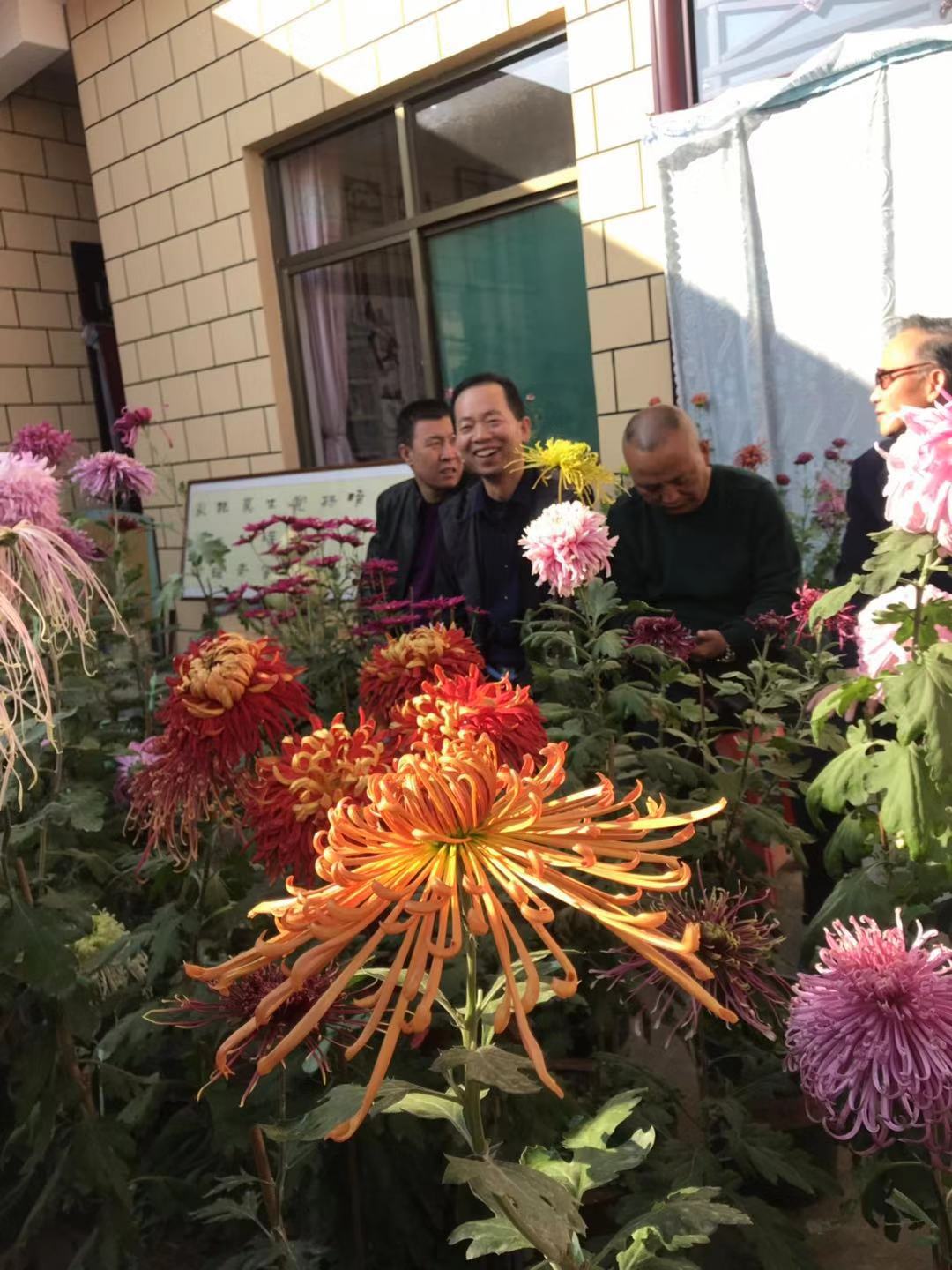 自己的微信所有群,微信怎么查我加入的群