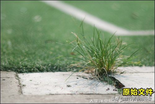 cameraraw曲线详解教程,鹏凰视界cameraraw系列教程