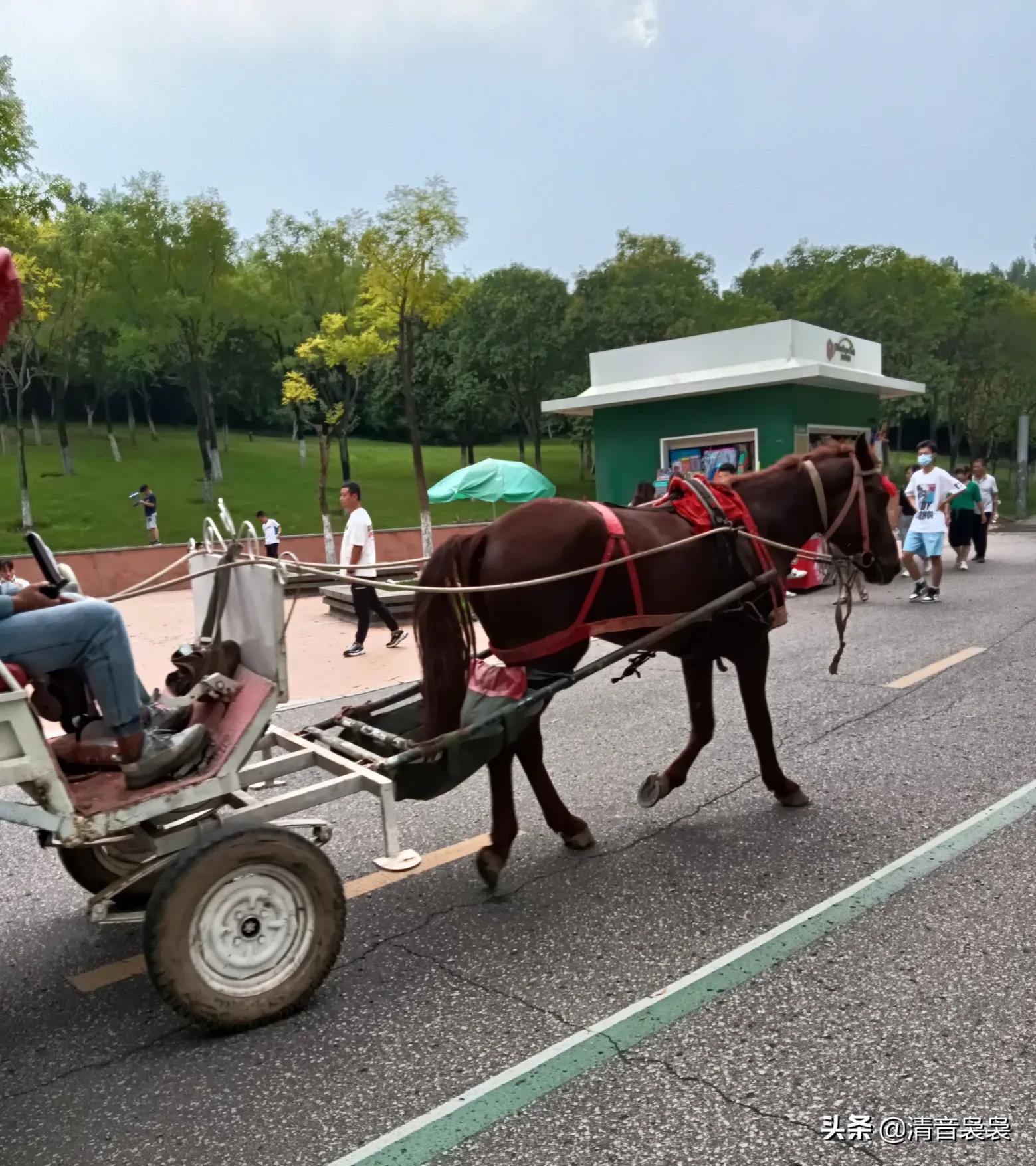 10年前西安世博园,现在世博园怎么样了