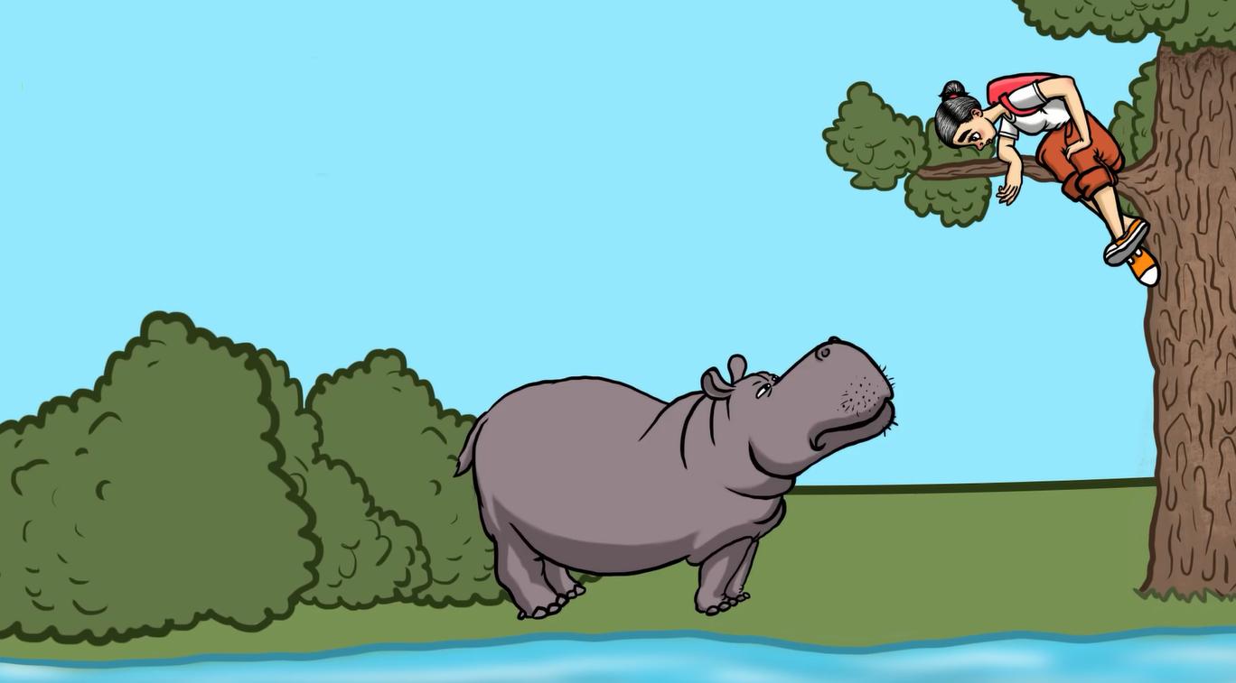 野外遇到大型动物如何自救,如果在野外遇到危险动物该怎么办