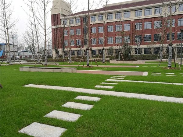 合肥四十八中初中部好吗,合肥四十八中学有哪些分校