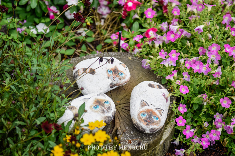 日本的哪个地方温泉最出名,日本最野的温泉