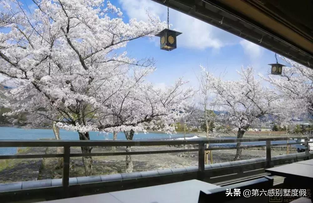 日本不起眼的百年老店,日本的百年老店有多少个