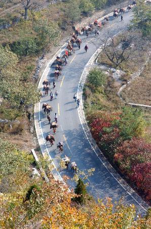 你也喜欢普洱茶吗,和你喝普洱茶的人