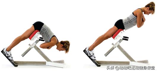 人鱼线和马甲线分别是哪个位置,马甲线除了人鱼线还有什么线