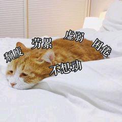 多多自走棋最强上分阵容站位,英雄联盟自走棋王者快速上分