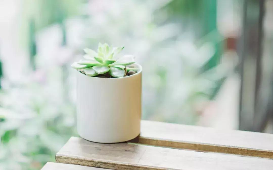 当你一无所有的时候健康是你唯一,当你一无所有的时候谁会帮你