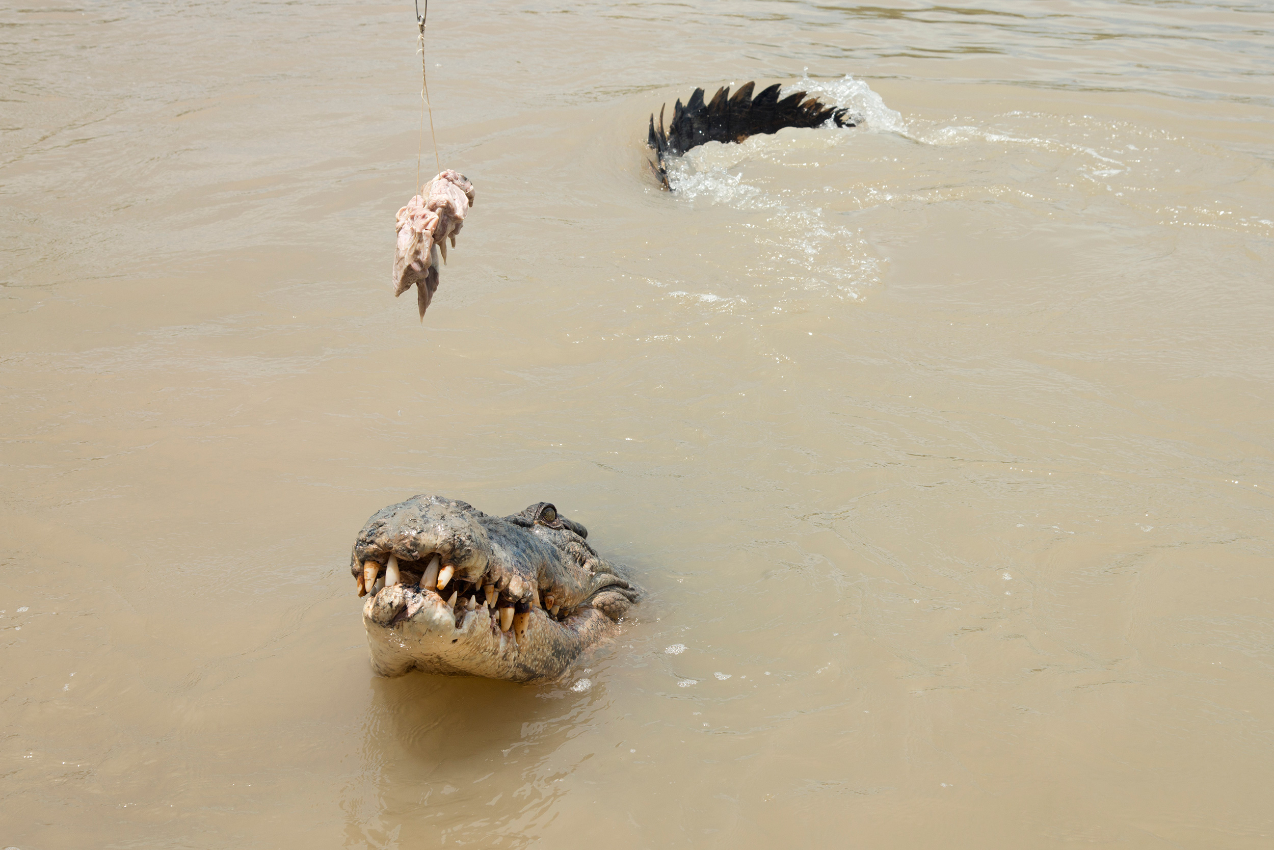 生产一个女包要多少钱,生产一个箱包的机器多少钱