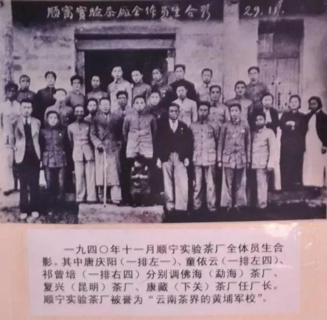 滇红茶是中国红茶吗,滇红茶为什么叫抗战茶