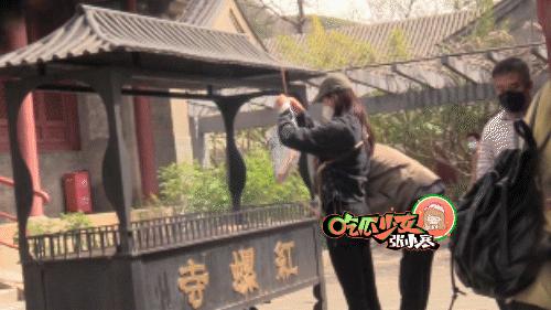 全网被催婚女星关晓彤,关晓彤鹿晗的择偶标准