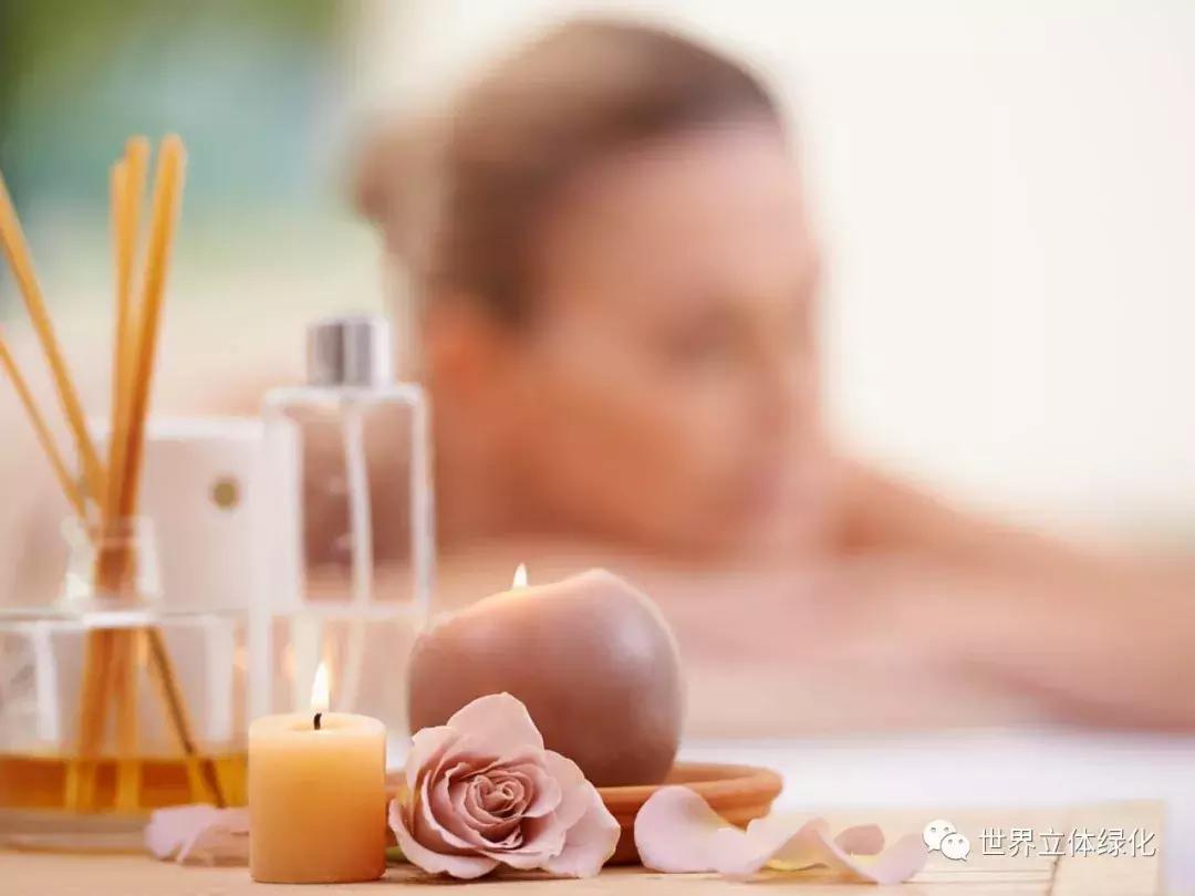 为什么园艺疗法能快速发展,园艺疗法的应用领域