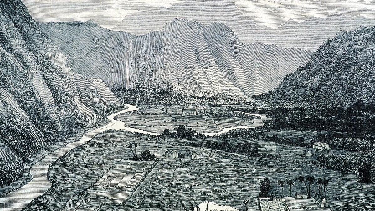 老狗临死前跑到野外和主人告别,养了16年的狗临终前跟主人告别