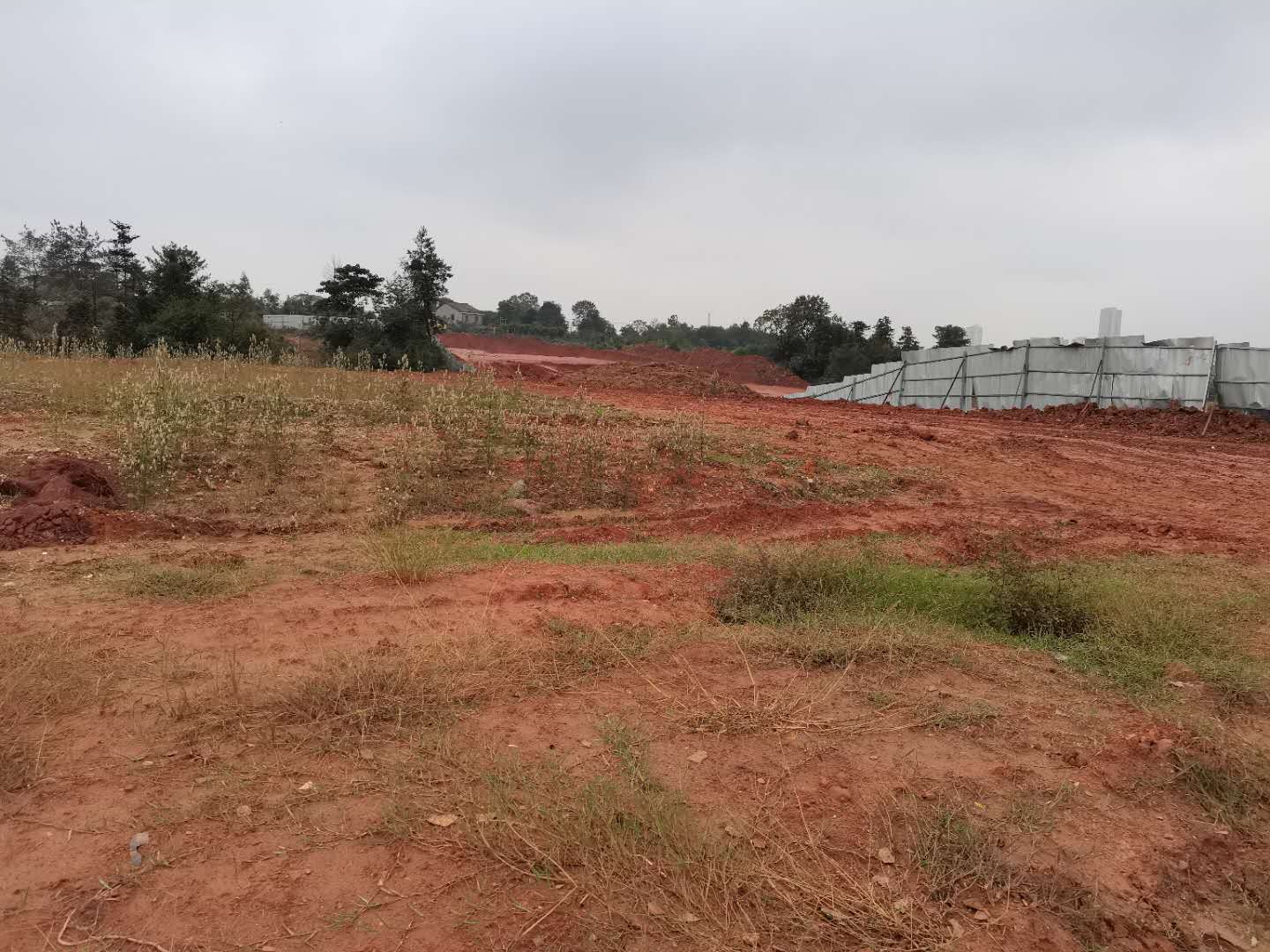 硕丰控股集团最新消息,江西省抚州市硕丰控股有限公司