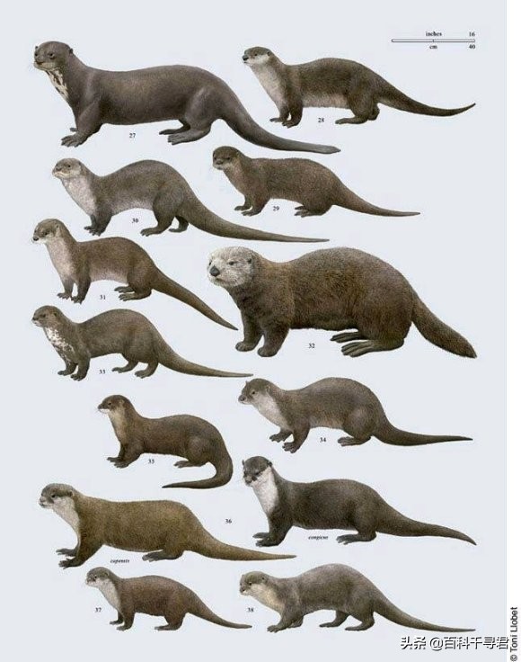 五月的最后一天是星期几,五月的第三个星期天是什么节日