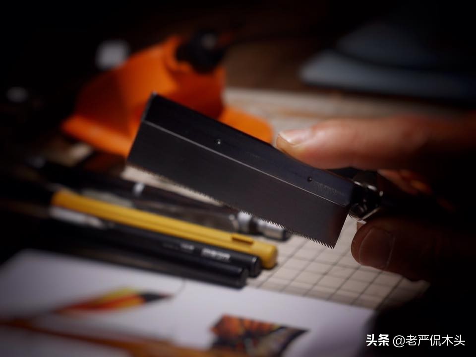 昆虫标本树脂竹节虫,昆虫标本制作竹节虫